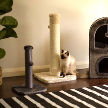 Cat Scratching Post with Toy